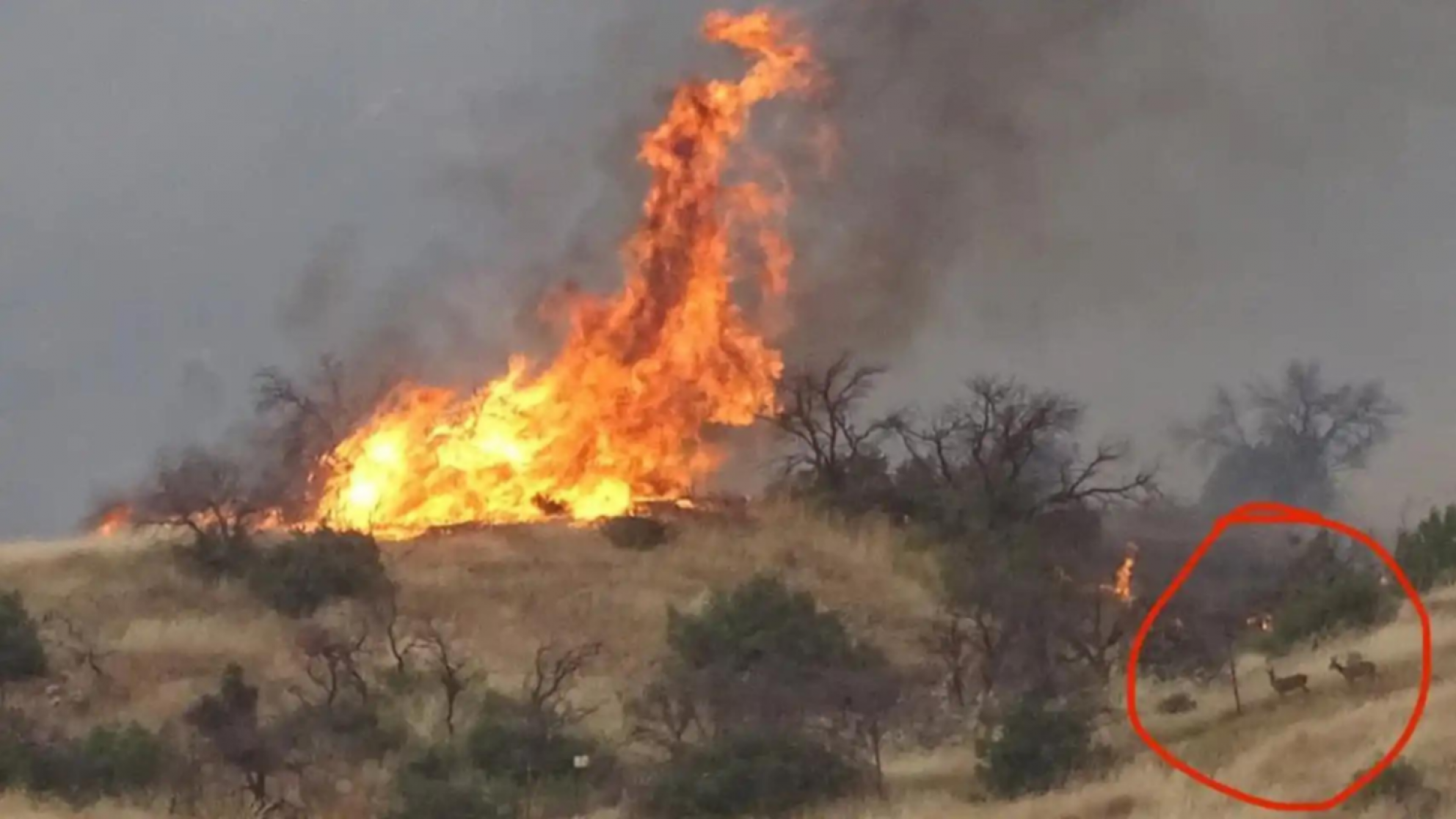 Ocho provincias de la Argentina tienen focos activos de incendios forestales